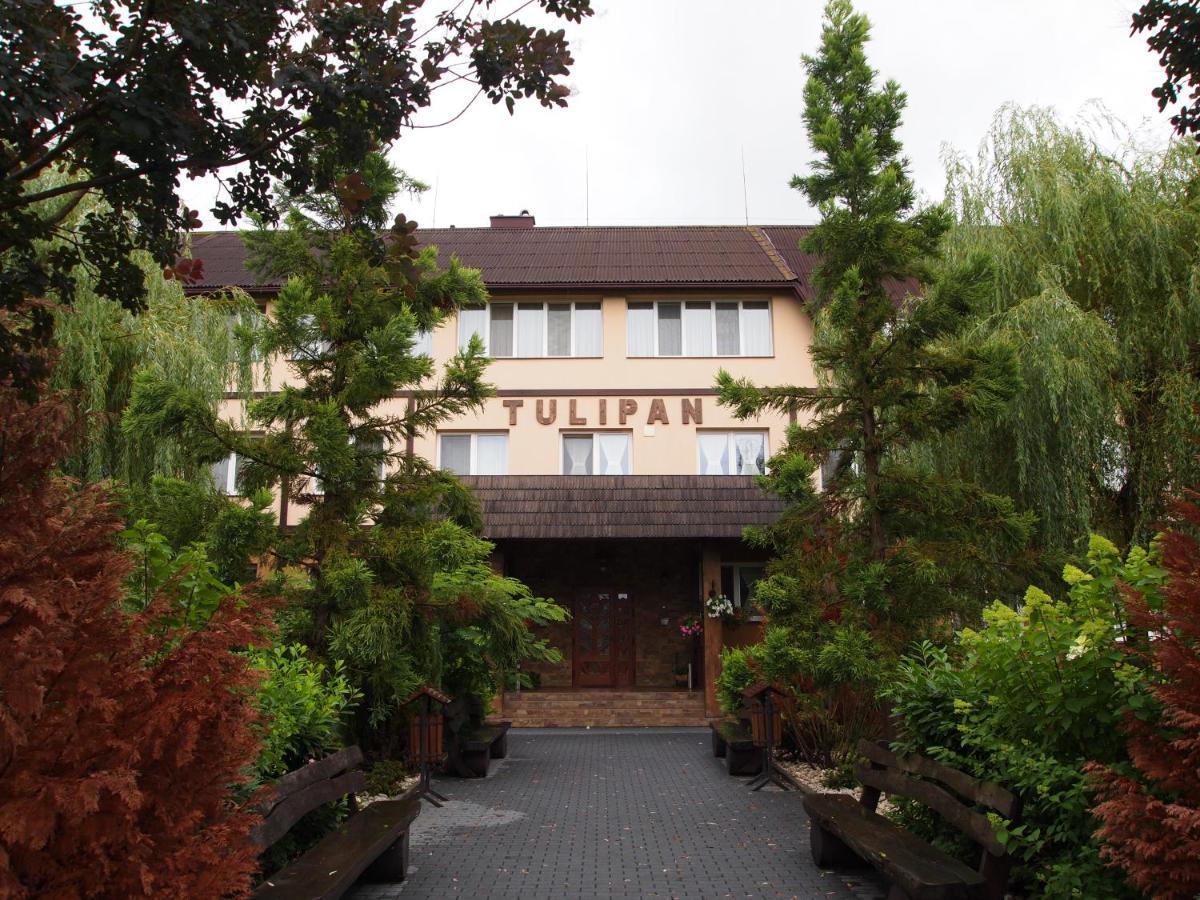 Tulipan Hotel Aquapark Vyshkove Exterior photo